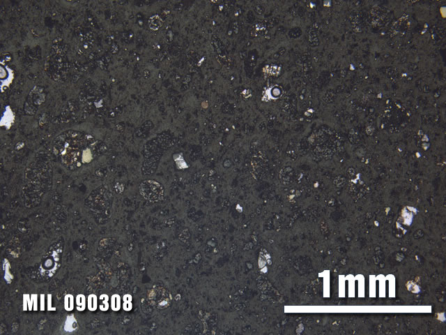 Thin Section Photo of Sample MIL 090308 at 2.5X Magnification in Plane-Polarized Light