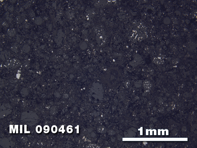 Thin Section Photo of Sample MIL 090461 in Reflected Light with 2.5X Magnification