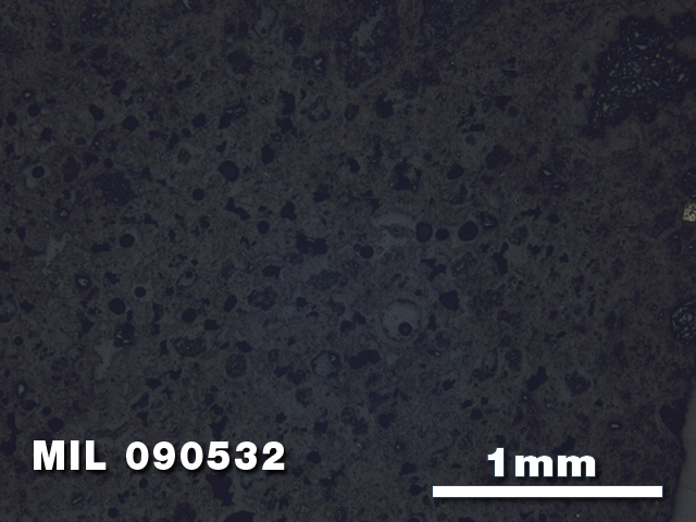 Thin Section Photo of Sample MIL 090532 in Reflected Light with 2.5X Magnification