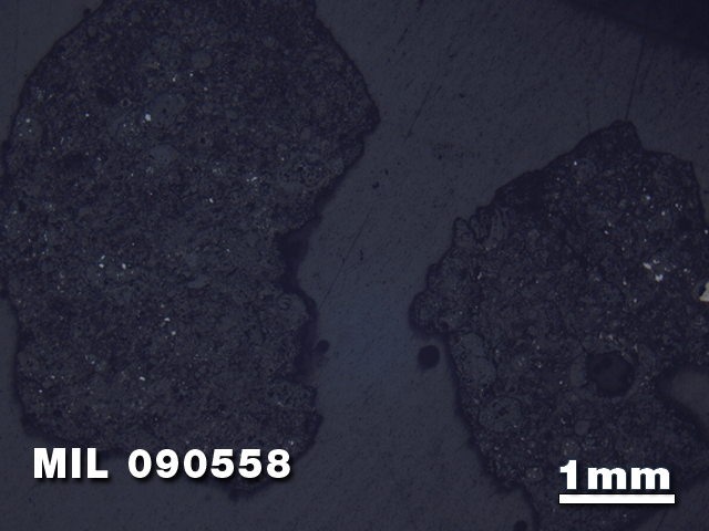 Thin Section Photo of Sample MIL 090558 in Reflected Light with 1.25X Magnification