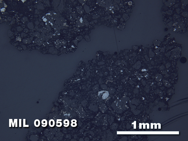 Thin Section Photo of Sample MIL 090598 in Reflected Light with 2.5X Magnification