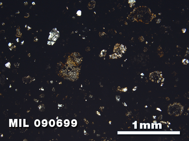 Thin Section Photo of Sample MIL 090699 in Plane-Polarized Light with 2.5X Magnification