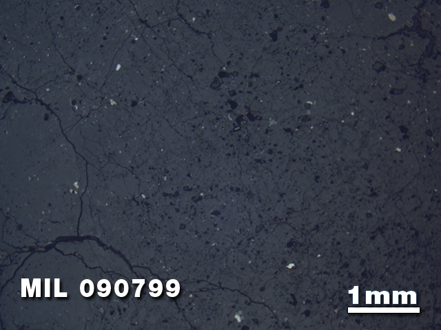 Thin Section Photo of Sample MIL 090799 in Reflected Light with 1.25X Magnification
