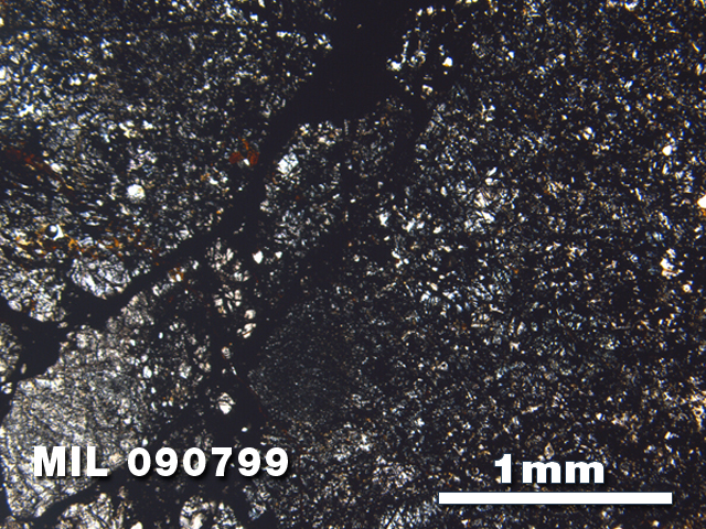 Thin Section Photo of Sample MIL 090799 in Plane-Polarized Light with 2.5X Magnification