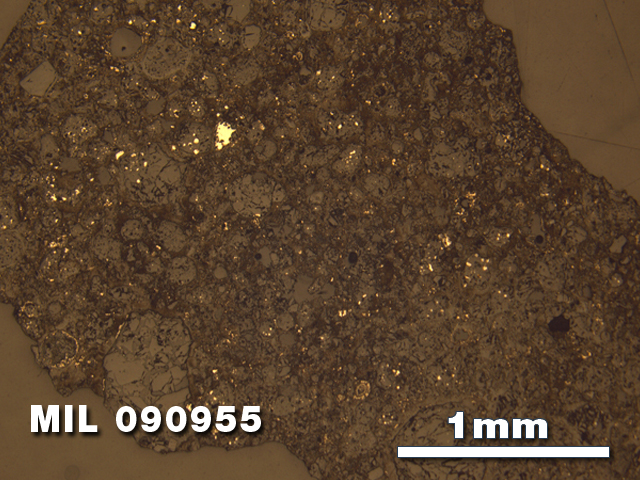 Thin Section Photo of Sample MIL 090955 in Reflected Light with 2.5X Magnification