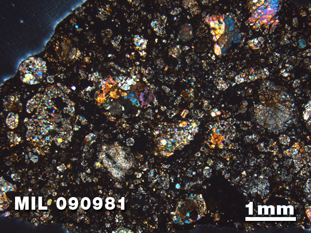 Thin Section Photo of Sample MIL 090981 in Cross-Polarized Light with 1.25X Magnification