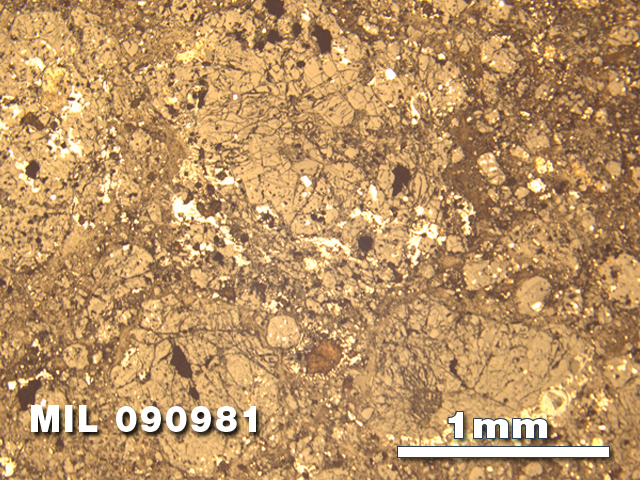 Thin Section Photo of Sample MIL 090981 in Reflected Light with 2.5X Magnification