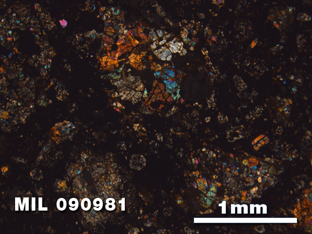 Thin Section Photo of Sample MIL 090981 in Cross-Polarized Light with 2.5X Magnification