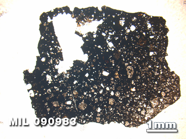 Thin Section Photo of Sample MIL 090983 in Plane-Polarized Light with 1.25X Magnification