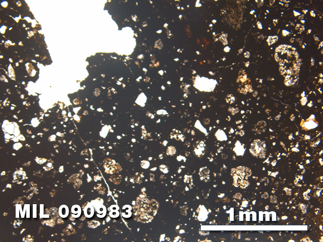 Thin Section Photo of Sample MIL 090983 in Plane-Polarized Light with 2.5X Magnification