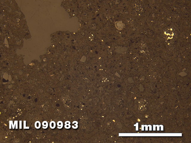 Thin Section Photo of Sample MIL 090983 in Reflected Light with 2.5X Magnification