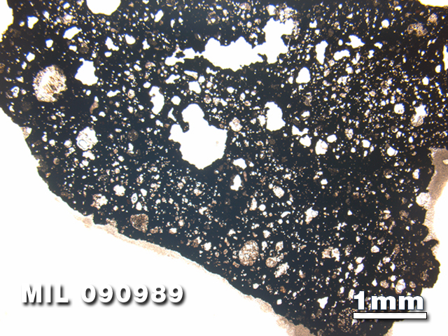 Thin Section Photo of Sample MIL 090989 in Plane-Polarized Light with 1.25X Magnification