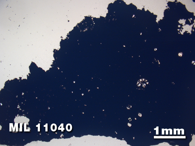 Thin Section Photo of Sample MIL 11040 in Plane-Polarized Light with 1.25X Magnification