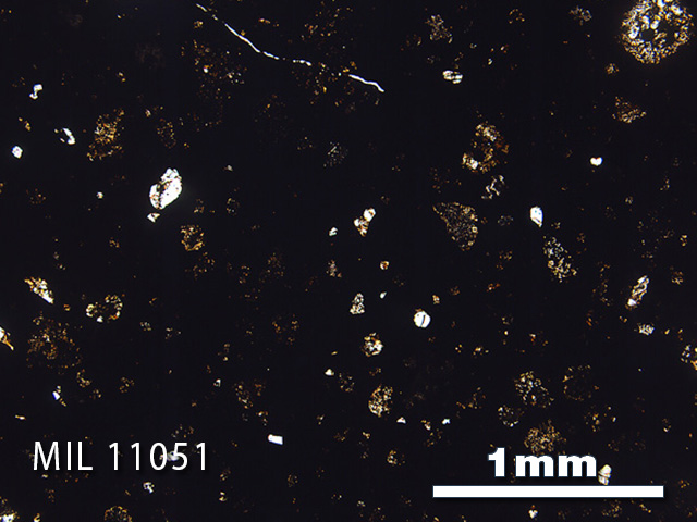 Thin Section Photo of Sample MIL 11051 in Plane-Polarized Light with 2.5x Magnification