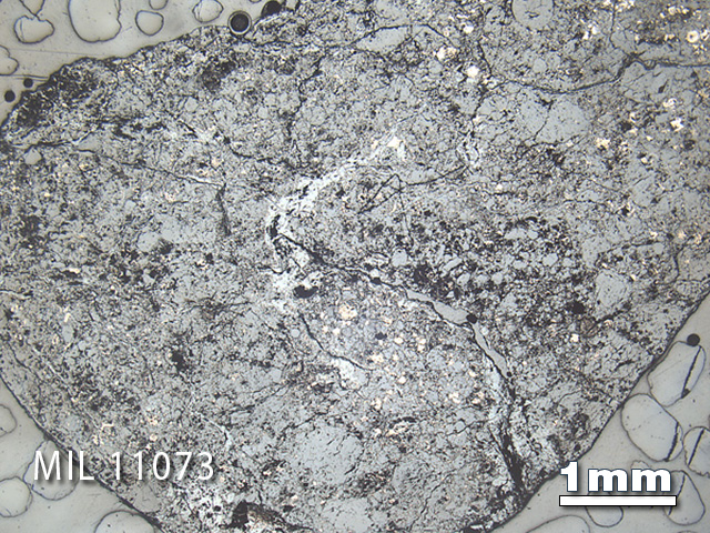 Thin Section Photo of Sample MIL 11073 in Reflected Light with 1.25x Magnification