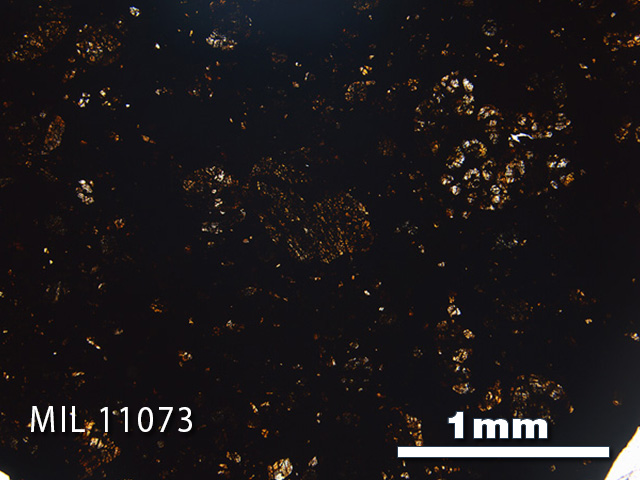 Thin Section Photo of Sample MIL 11073 in Plane-Polarized Light with 2.5x Magnification