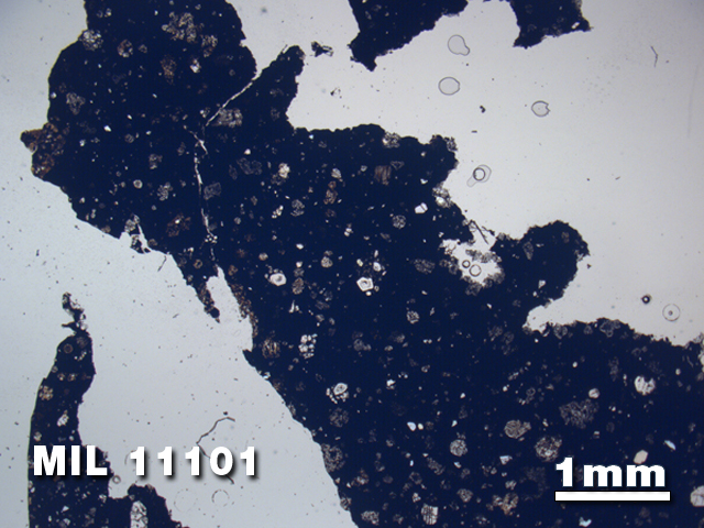 Thin Section Photo of Sample MIL 11101 in Plane-Polarized Light with 1.25X Magnification
