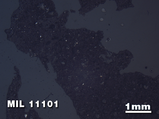 Thin Section Photo of Sample MIL 11101 in Reflected Light with 1.25X Magnification