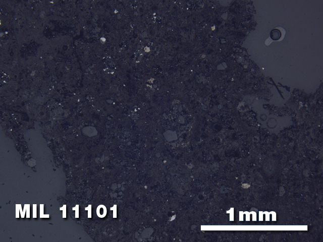 Thin Section Photo of Sample MIL 11101 in Reflected Light with 2.5X Magnification
