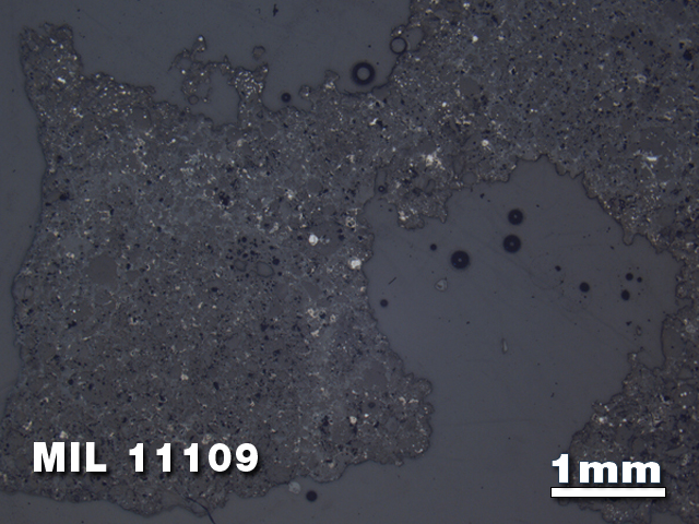 Thin Section Photo of Sample MIL 11109 in Reflected Light with 1.25X Magnification