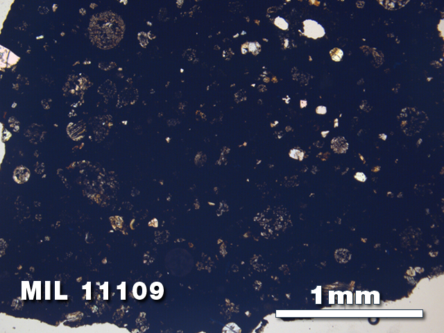 Thin Section Photo of Sample MIL 11109 in Plane-Polarized Light with 2.5X Magnification