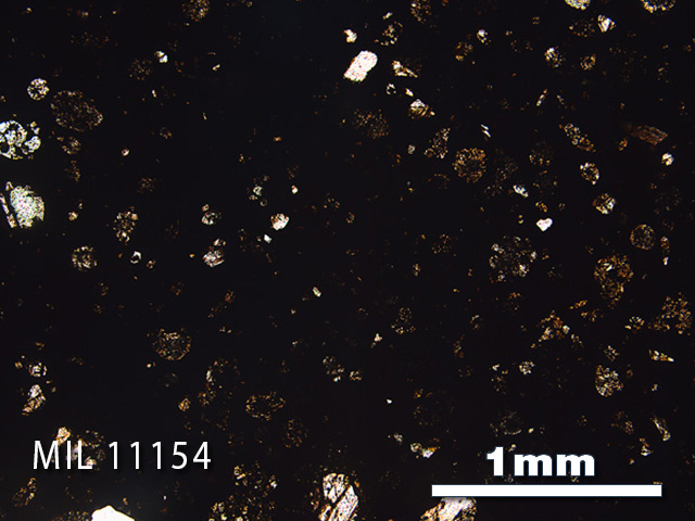 Thin Section Photo of Sample MIL 11154 in Plane-Polarized Light with 2.5x Magnification