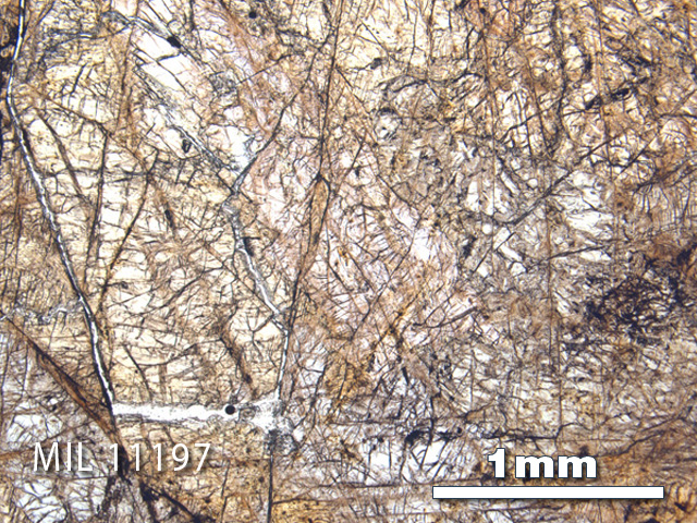 Thin Section Photo of Sample MIL 11197 in Plane-Polarized Light with 2.5X Magnification
