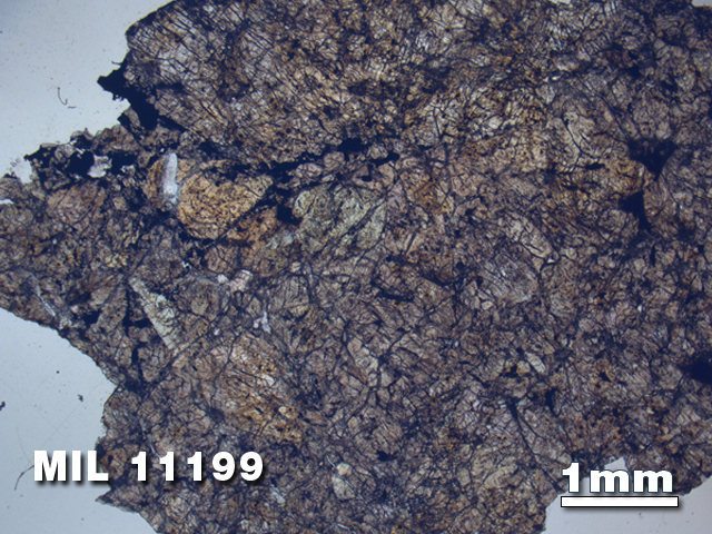 Thin Section Photo of Sample MIL 11199 in Plane-Polarized Light with 1.25X Magnification