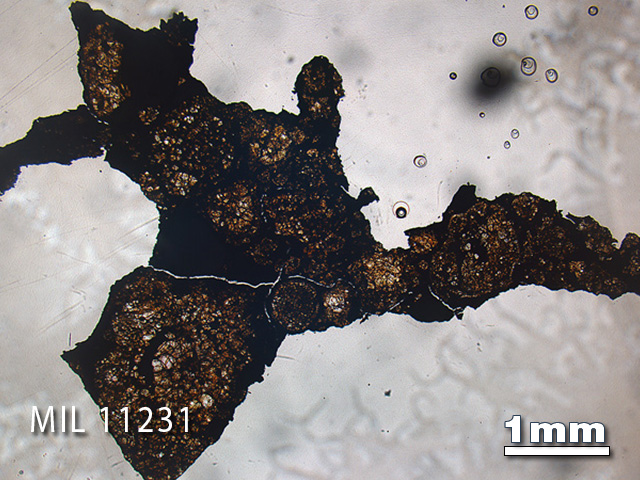 Thin Section Photo of Sample MIL 11231 in Plane-Polarized Light with 1.25x Magnification