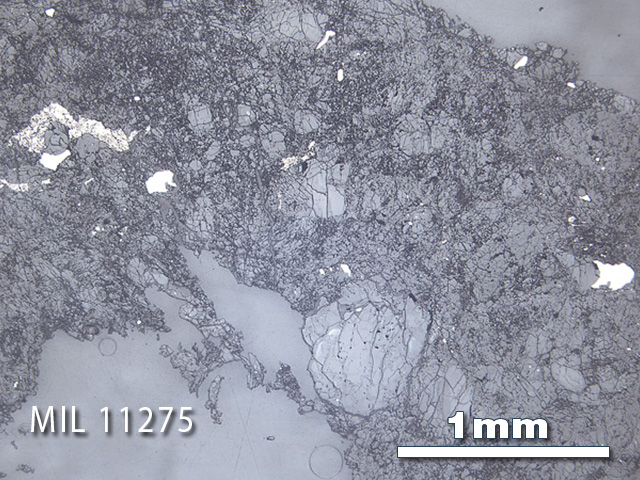 Thin Section Photo of Sample MIL 11275 in Reflected Light with 2.5x Magnification