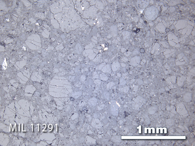 Thin Section Photo of Sample MIL 11291 in Reflected Light with 2.5X Magnification