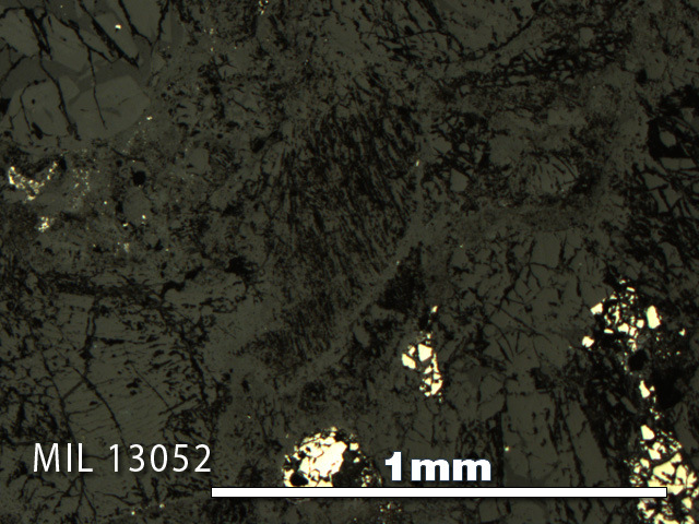 Thin Section Photo of Sample MIL 13052 in Reflected Light with 5X Magnification