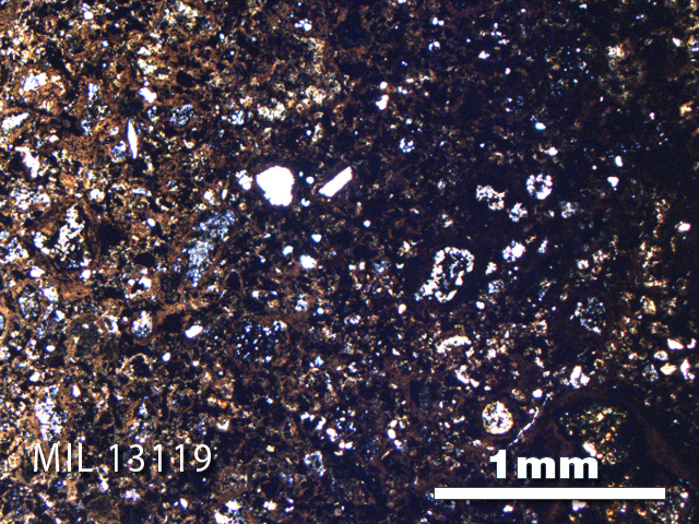 Thin Section Photo of Sample MIL 13119 in Plane-Polarized Light with 2.5X Magnification