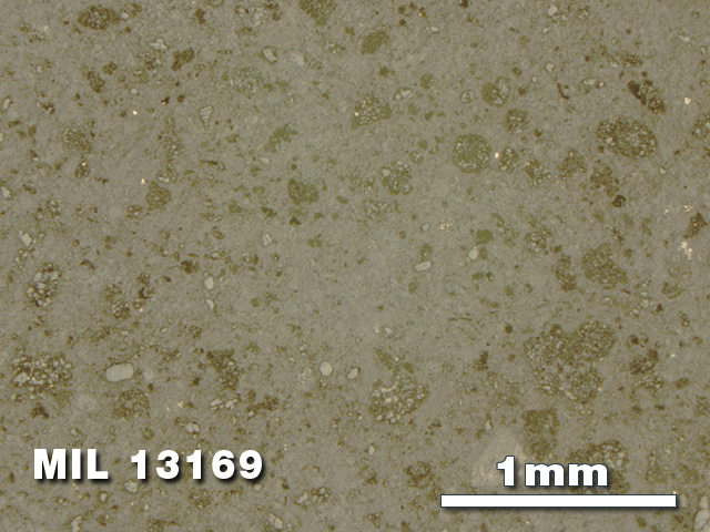 Thin Section Photo of Sample MIL 13169 in Reflected Light with 2.5X Magnification