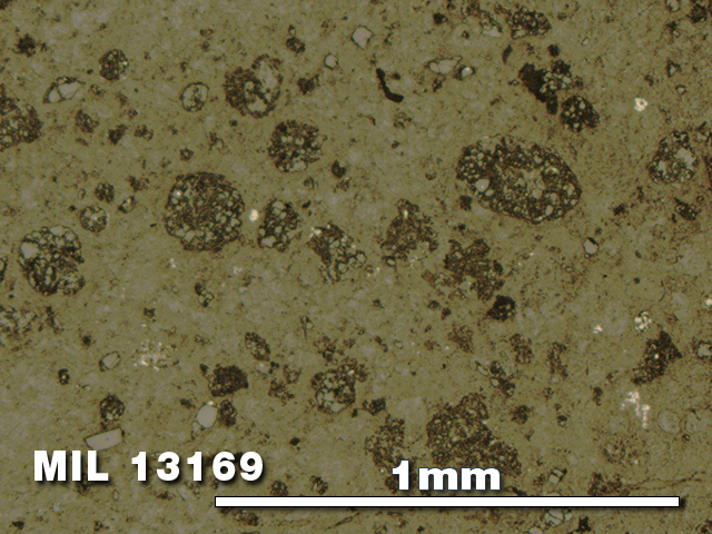 Thin Section Photo of Sample MIL 13169 in Reflected Light with 5X Magnification