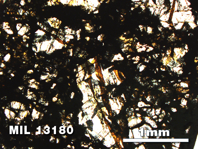 Thin Section Photo of Sample MIL 13180 in Plane-Polarized Light with 2.5X Magnification