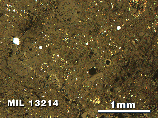 Thin Section Photo of Sample MIL 13214 in Reflected Light with 2.5X Magnification
