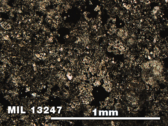 Thin Section Photo of Sample MIL 13247 in Plane-Polarized Light with 5X Magnification