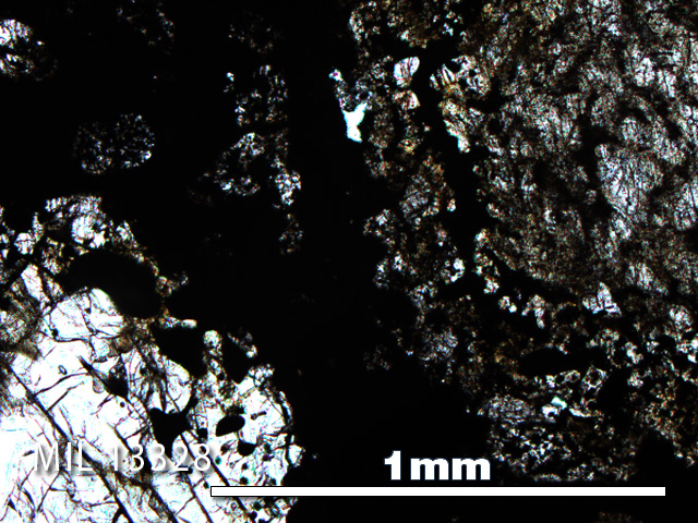 Thin Section Photo of Sample MIL 13328 in Plane-Polarized Light with 5X Magnification