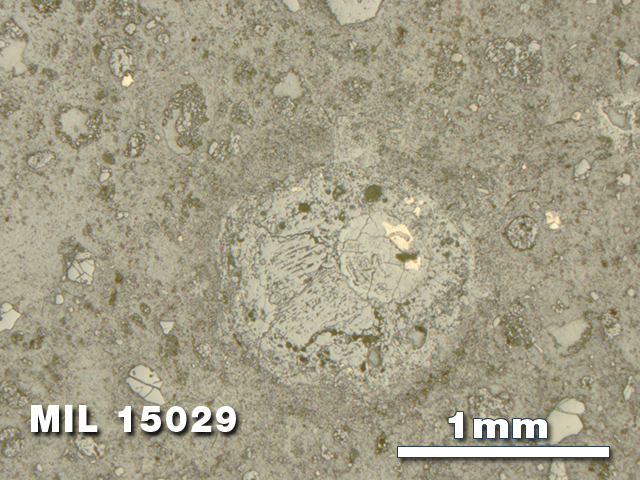 Thin Section Photo of Sample MIL 15029 in Reflected Light with 2.5X Magnification