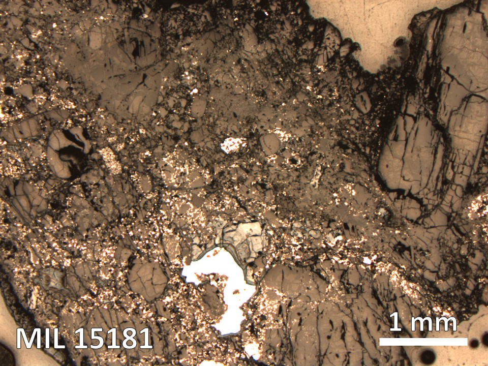 Thin Section Photo of Sample MIL 15181 in Reflected Light with 2.5X Magnification