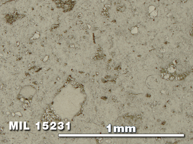Thin Section Photo of Sample MIL 15231 in Reflected Light with 5X Magnification