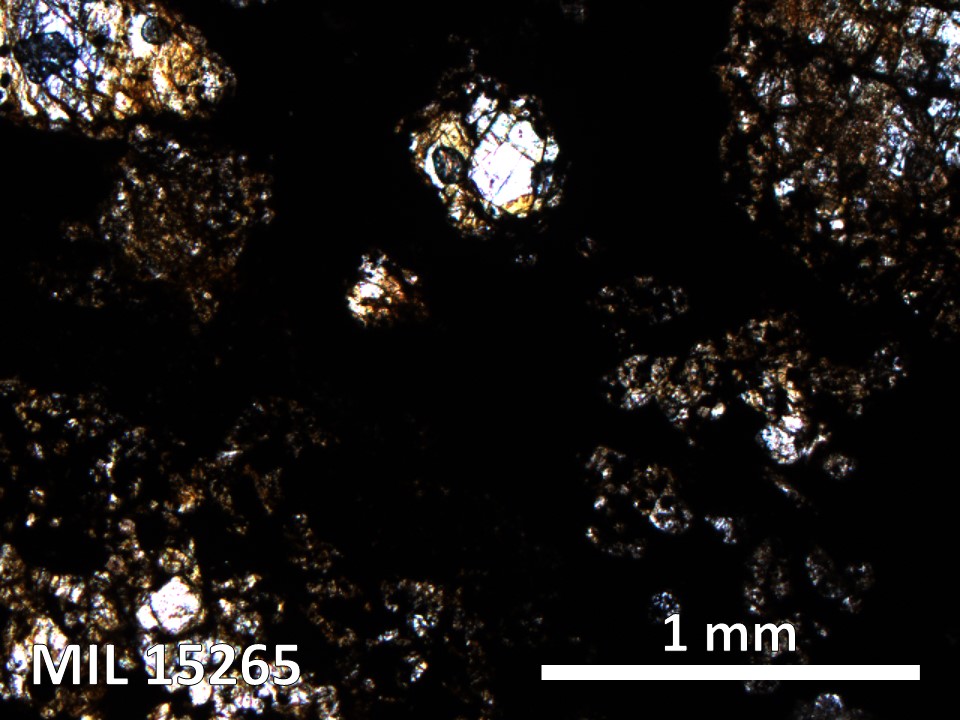 Thin Section Photo of Sample MIL 15265 in Plane-Polarized Light with 5X Magnification