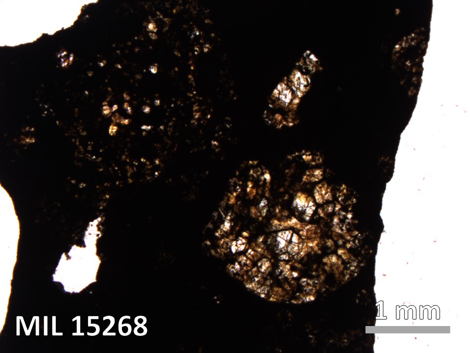 Thin Section Photo of Sample MIL 15268 in Plane-Polarized Light with 2.5X Magnification