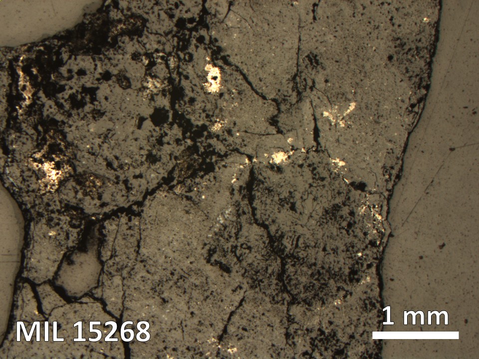 Thin Section Photo of Sample MIL 15268 in Reflected Light with 2.5X Magnification