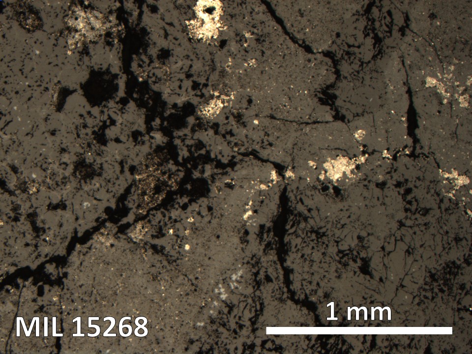 Thin Section Photo of Sample MIL 15268 in Reflected Light with 5X Magnification