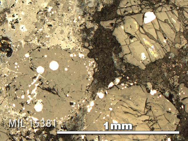 Thin Section Photo of Sample MIL 15381 in Reflected Light with 5X Magnification