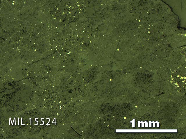 Thin Section Photo of Sample MIL 15524 in Reflected Light with 2.5X Magnification