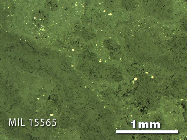 Thin Section Photo of Sample MIL 15565 in Reflected Light with 2.5X Magnification