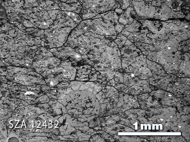 Thin Section Photograph of Sample SZA 12432 in Reflected Light